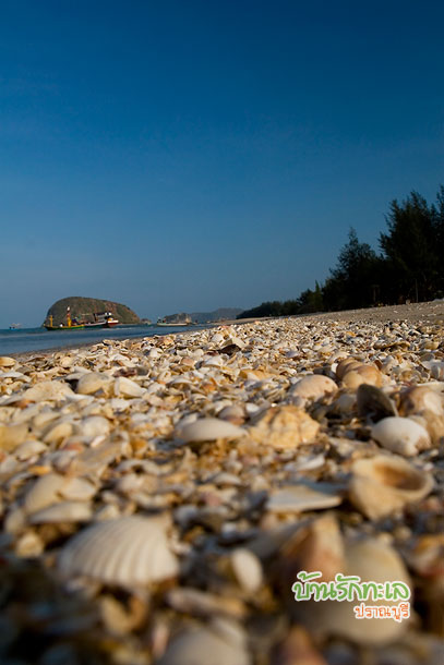 ชายหาด ปราณบุรี มีเปลือกหอยแนวหาด บ้านรักทะเล