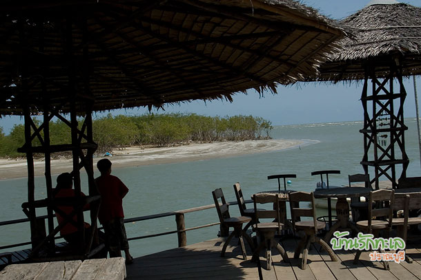 พายคายัค คลองเชื่อมสู่ทะเล อุทยานแห่งชาติเขาสามร้อยยอด