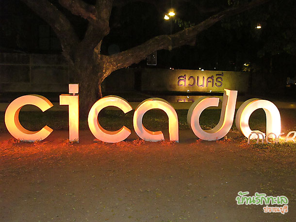 cicada market สวนศรี จุดที่นักท่องเที่ยวชอบถ่ายรูปเป็นที่ระลึกกับป้ายสถานที่