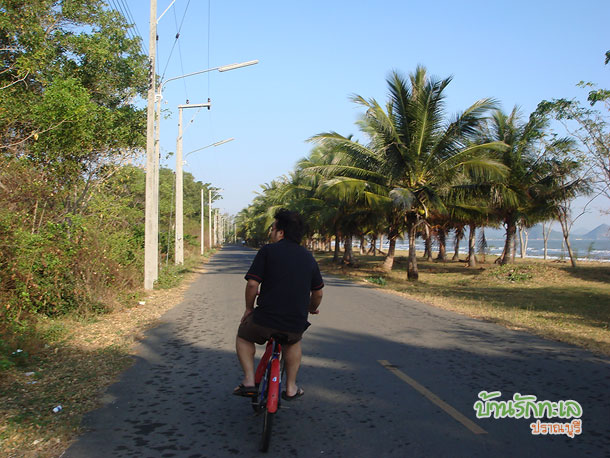 ขี่จักรยานเลียบชายหาด ที่พักปราณบุรี บ้านรักทะเล